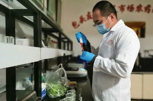 今日食用農(nóng)產(chǎn)品檢測結(jié)果公示丨吃雞肉會(huì)致癌？雞肉還能不能吃了