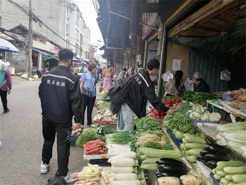 守護舌尖安全，越西縣全面展開2021年度食品與食用農產品質量抽檢工作