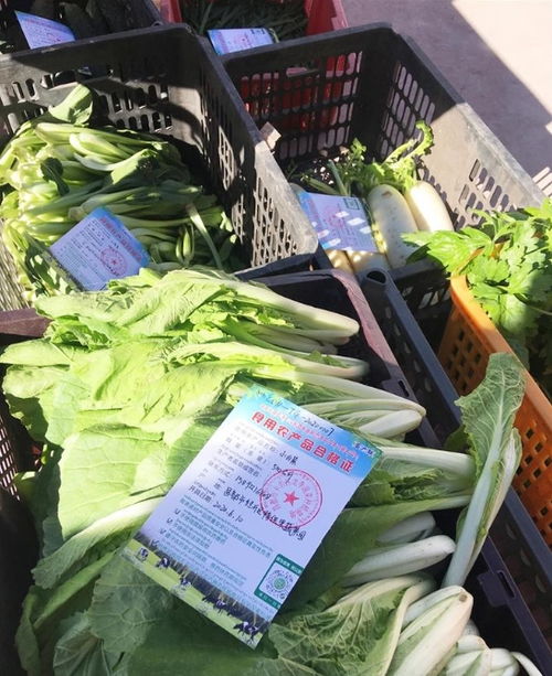 西藏食用農產品合格證累計出具突破4600張，質量安全追溯體系穩步構建