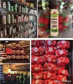 從車間到田園 農產品加工廠如何打造休閑觀光新體驗